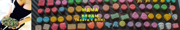 прущие грибы Новый Уренгой