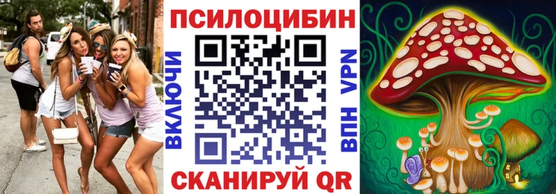 Псилоцибиновые грибы Psilocybine cubensis  Лобня 