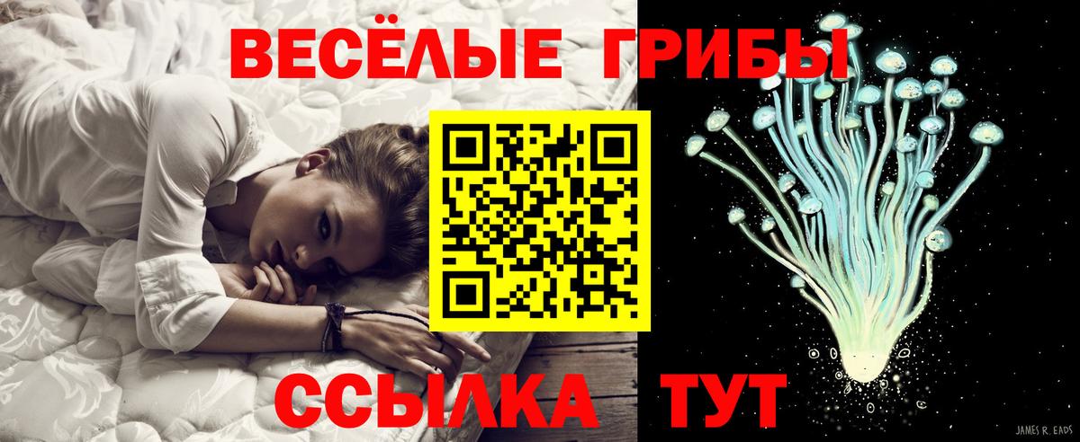 Галлюциногенные грибы GOLDEN TEACHER  Галлюциногенные грибы мицелий  Лобня  Вход с VPN 