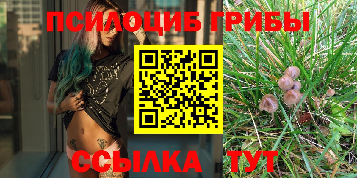 Псилоцибиновые грибы мицелий Лобня